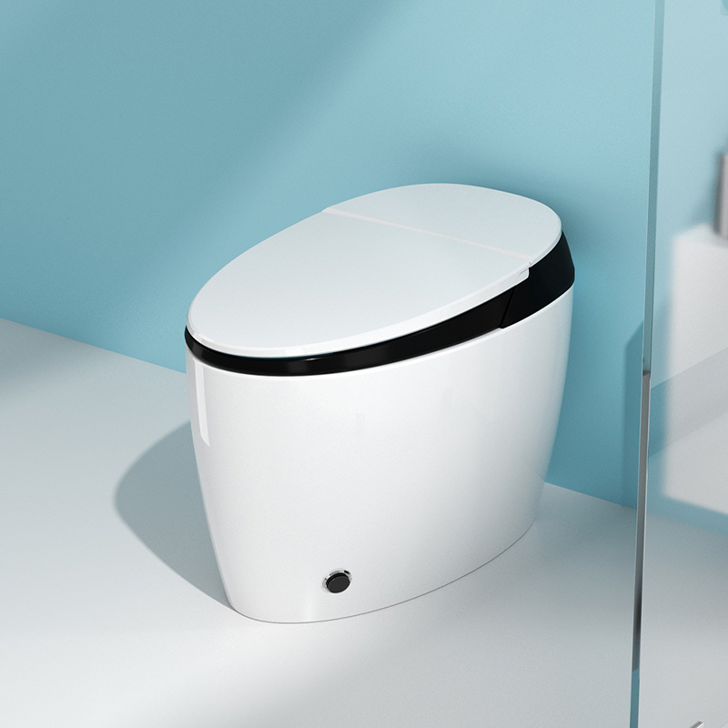 Smart Toilet with Advanced Bidet Function Self Cleaning Nozzle and Warm Air Dryer