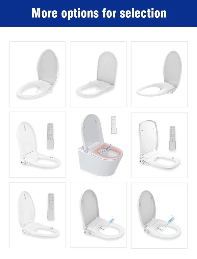 Bidet Seat Detail 9