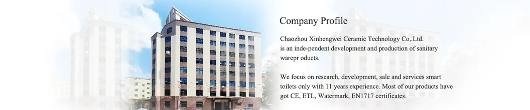 Smart Toilet Features