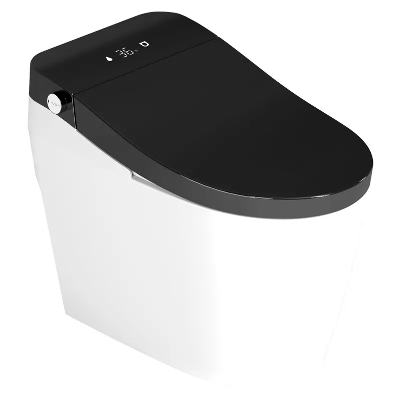 Smart Toilet Style 5