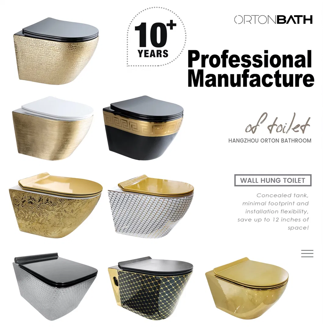 Wall Hung Mounted Wc