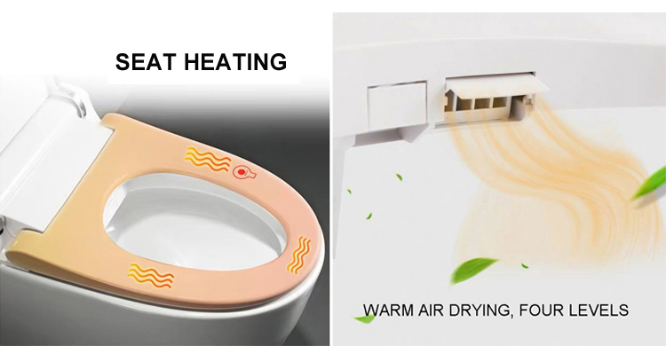 Family Complete Toilet Set Toilet Bidet Sprayer