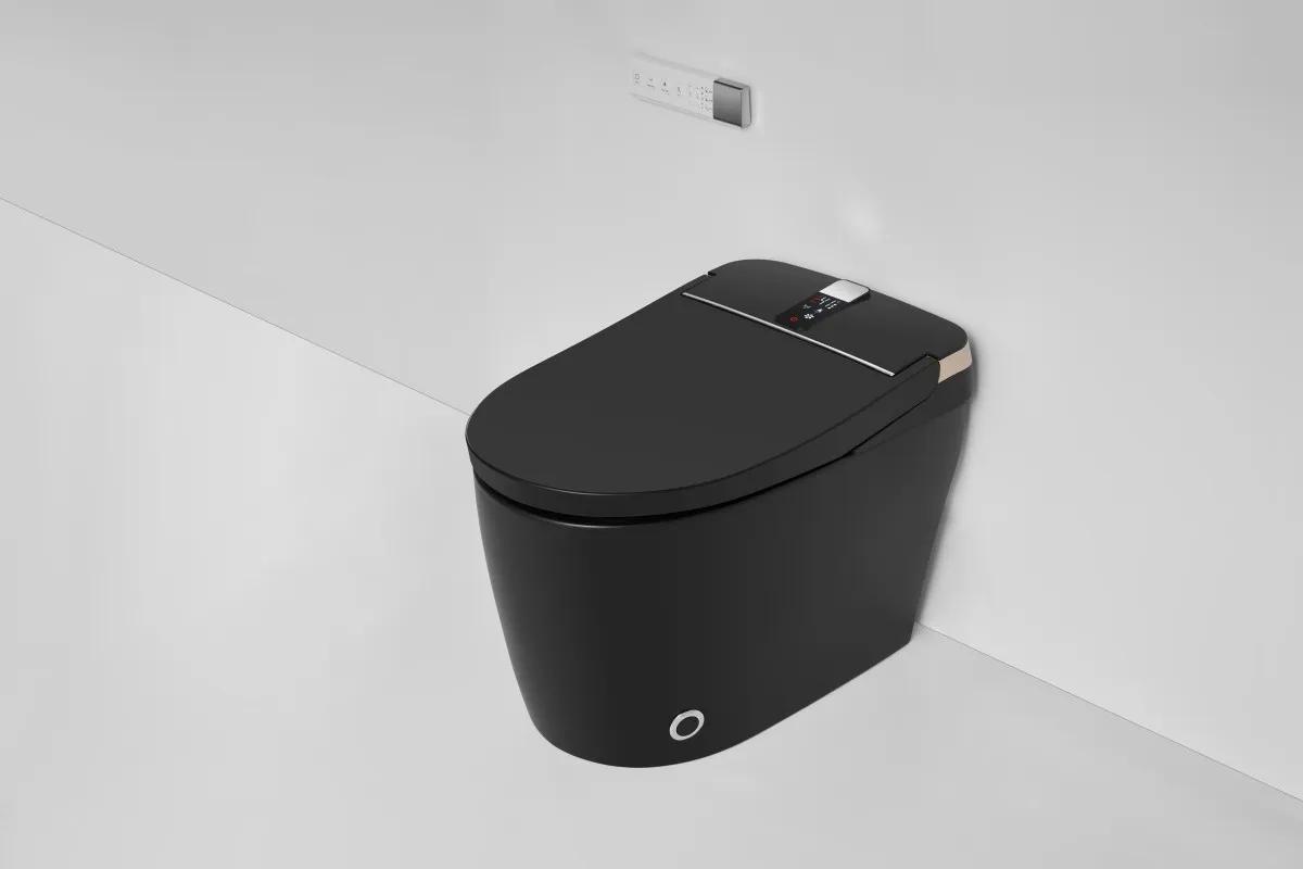 Smart Toilet View 9
