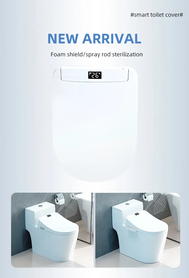 Toilet Seat Details 2