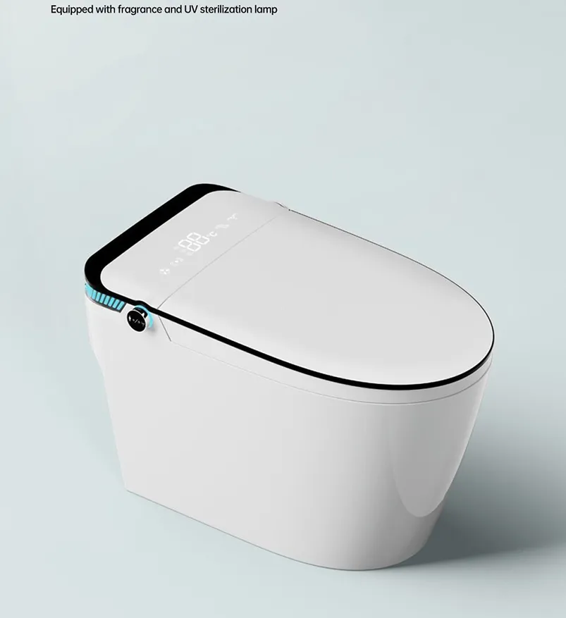Smart Toilet Detail 2
