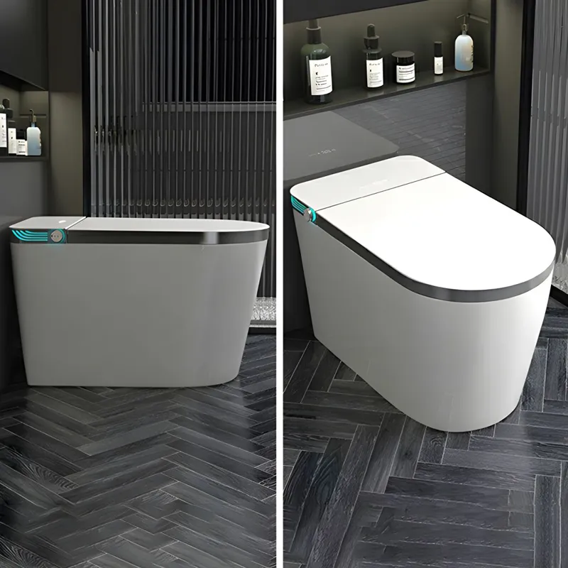 Smart Toilet Detail 3