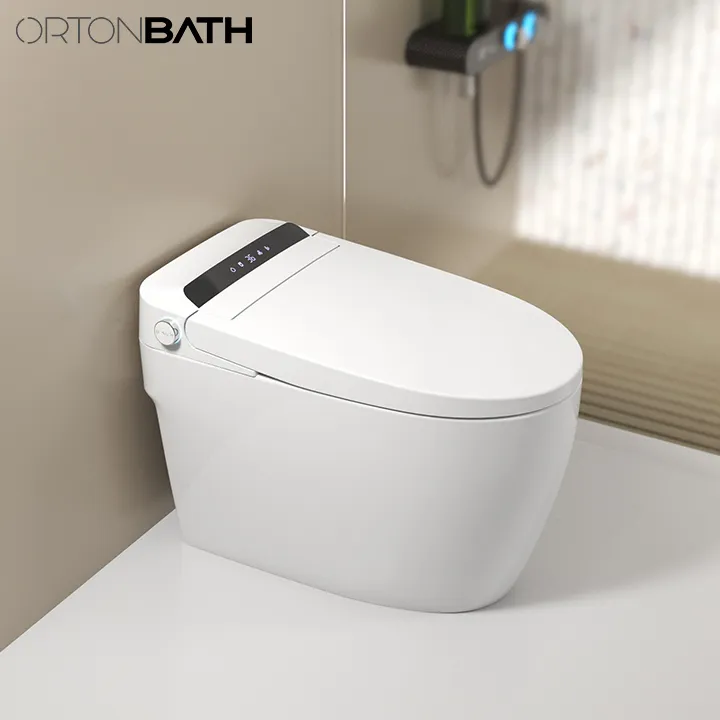 Smart Toilet Features