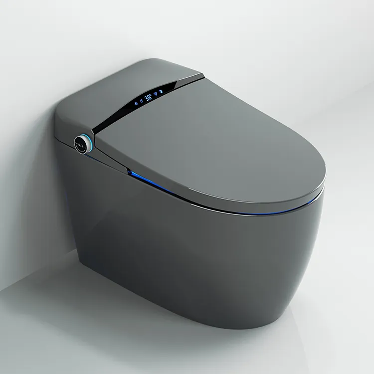 Smart Toilet Features