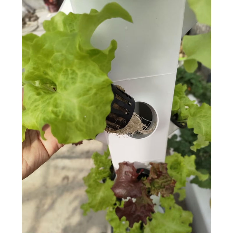 New Hydroponic Wall Tower Vertical Growing System with Water Irrigation Tank