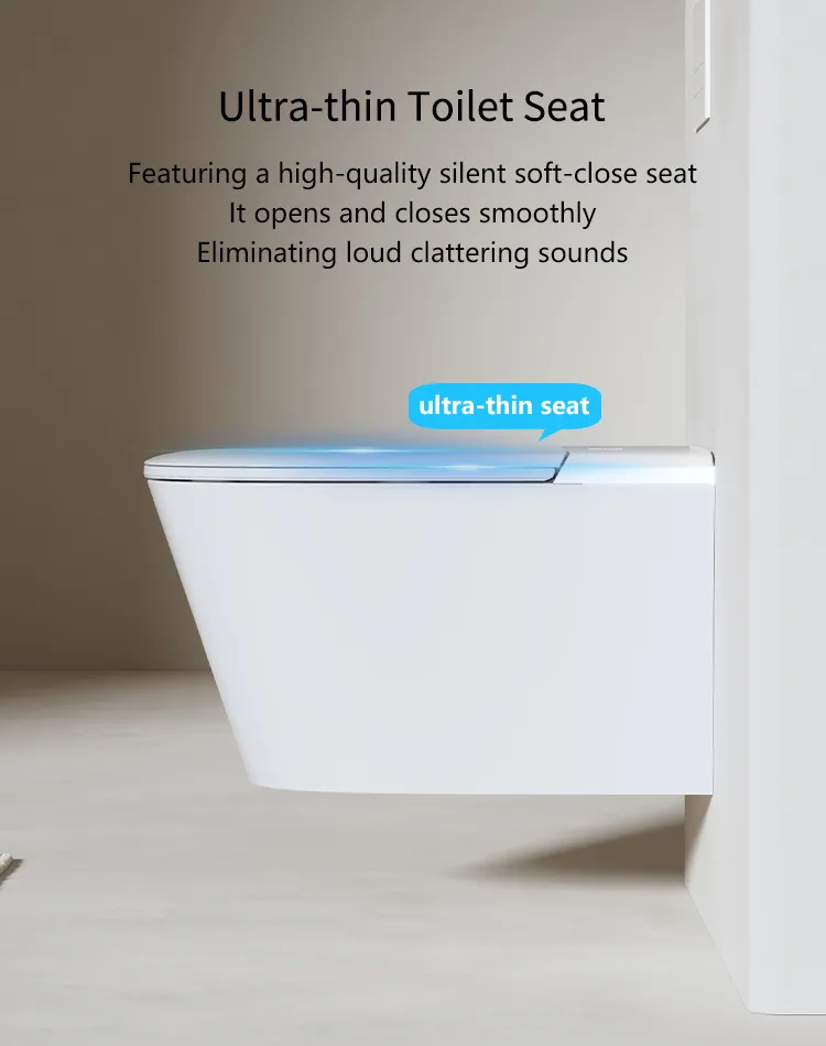 Smart Toilet Feature 4