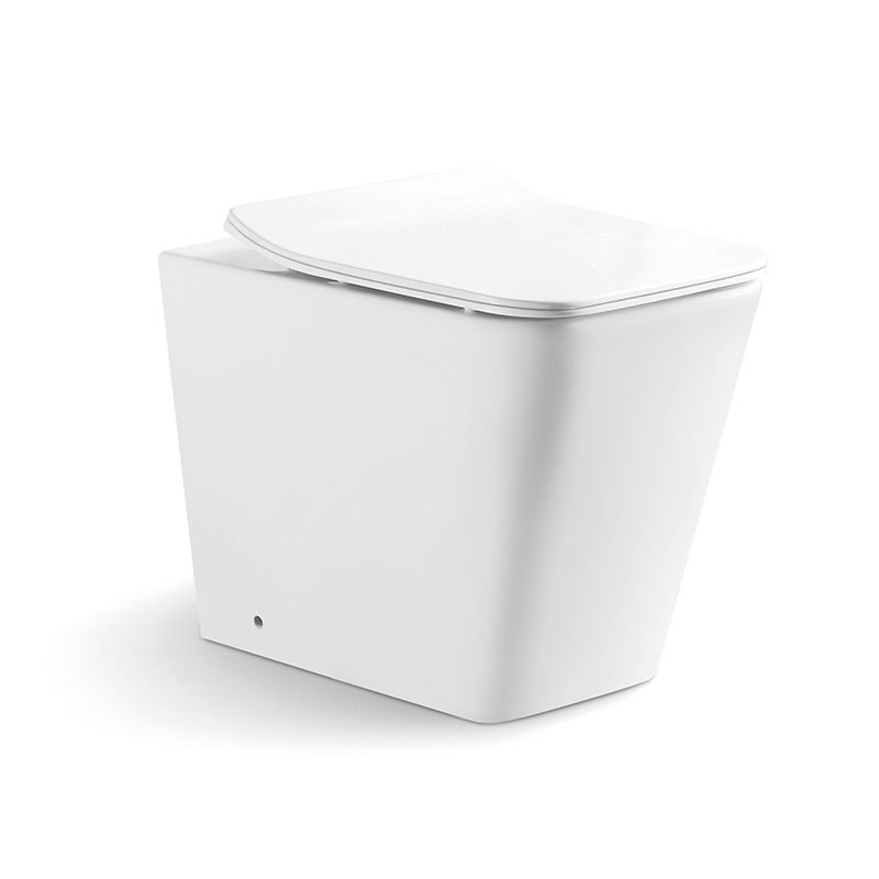 Dual Flush System Wall Hung Toilet with Concealed Tank