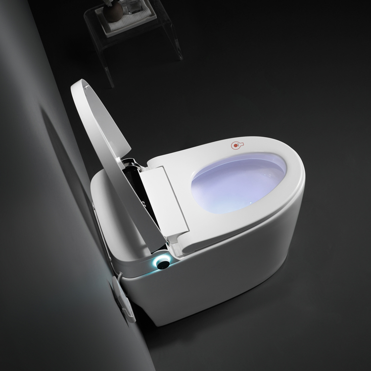 European Design Super Flushing Wc Toilet