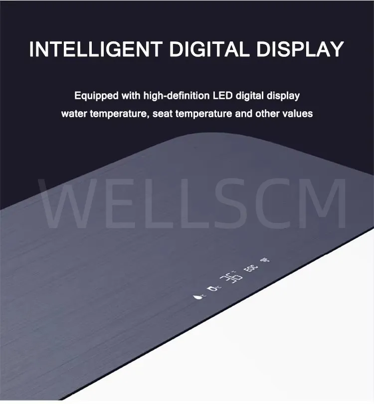 Smart Toilet Feature 2