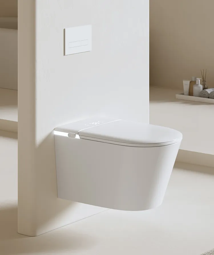 Smart Toilet Feature 1