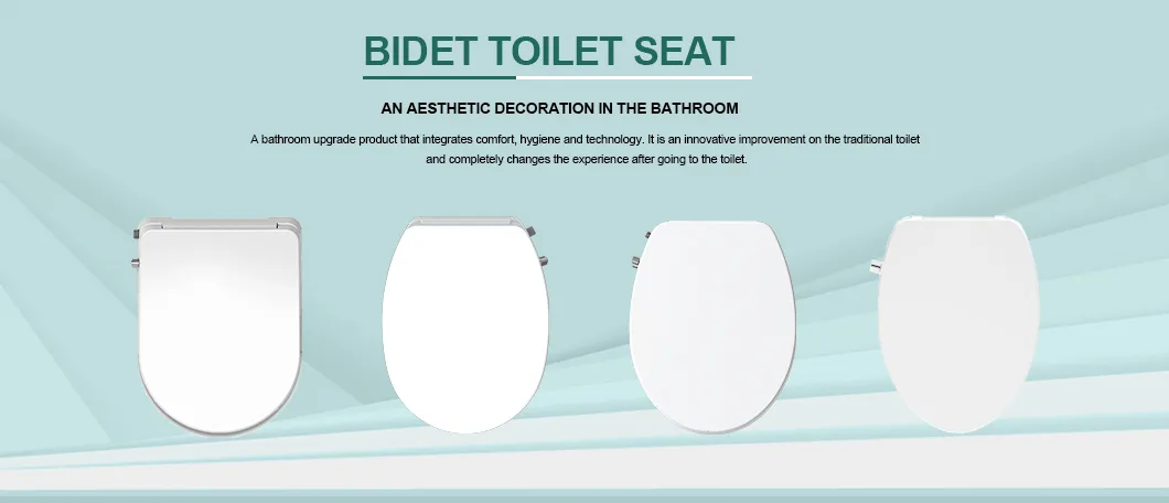 Non Electric Bidet Toilet Seat Cover