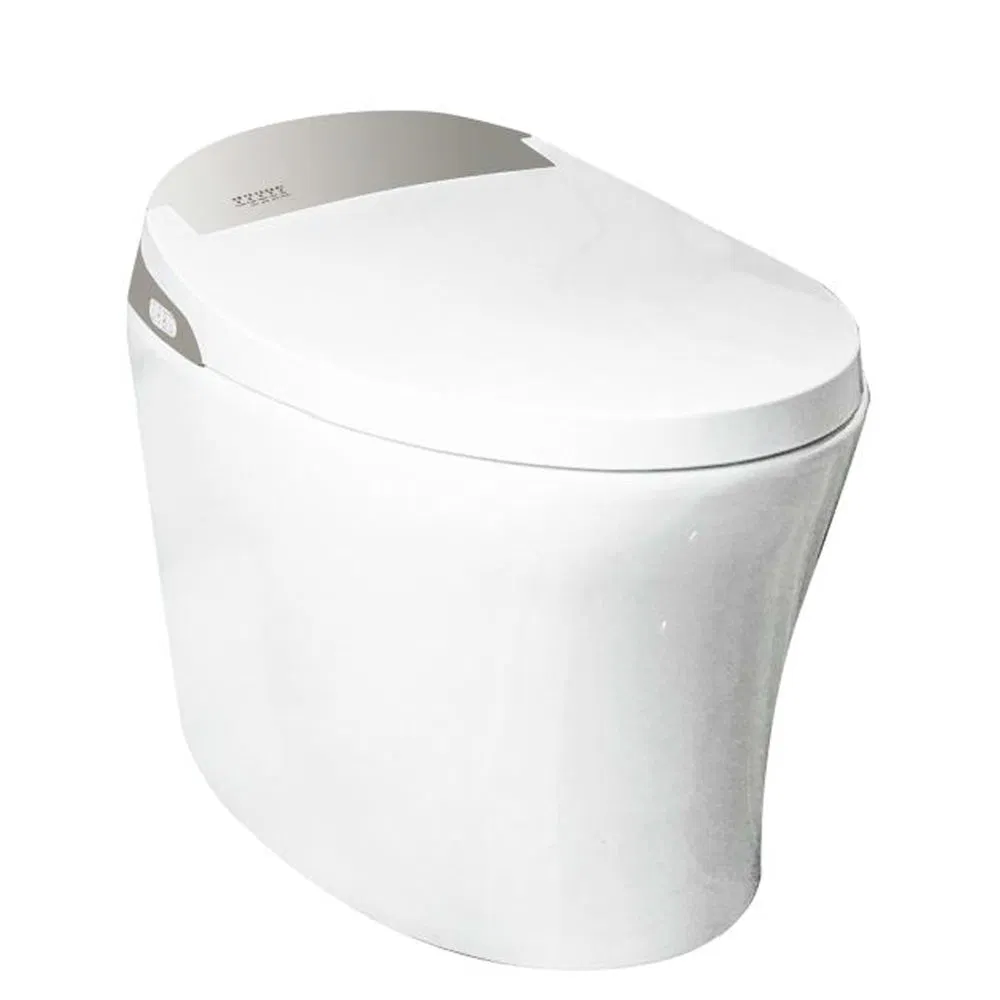 Bathroom Shower Toilet Slim Smart Toilet Bidet Wall Hung Intelligent Toilet Seat