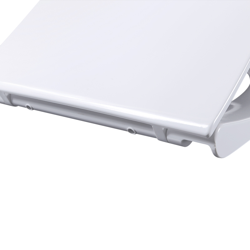 Oemodm Factory Price Non-Electric Toilet Seat Bidet Cover Soft Close PP Toilet Seat Cover Comfortable Bidet Seat