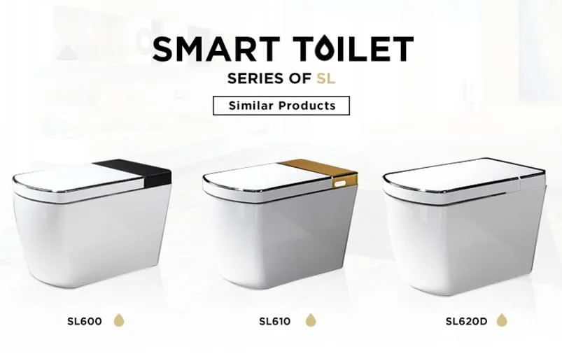 Smart Toilet Detail 6