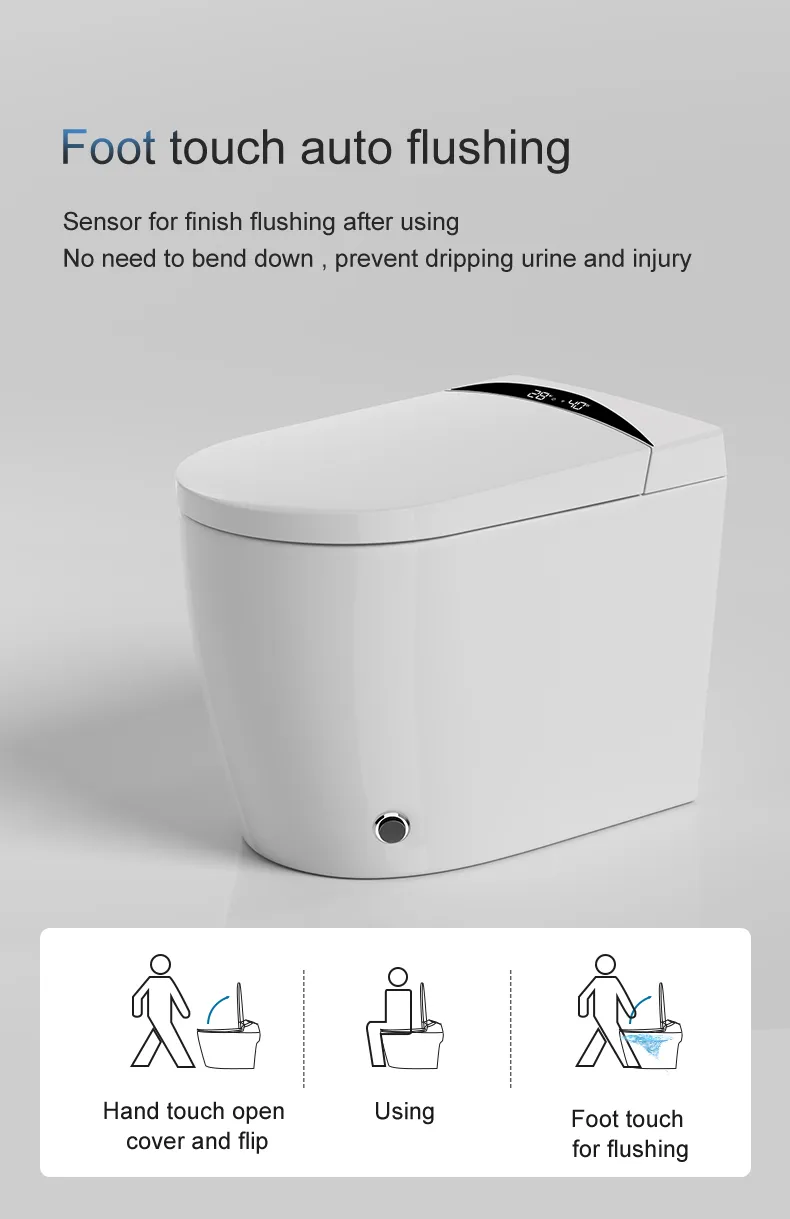 Smart Toilet Detail 2