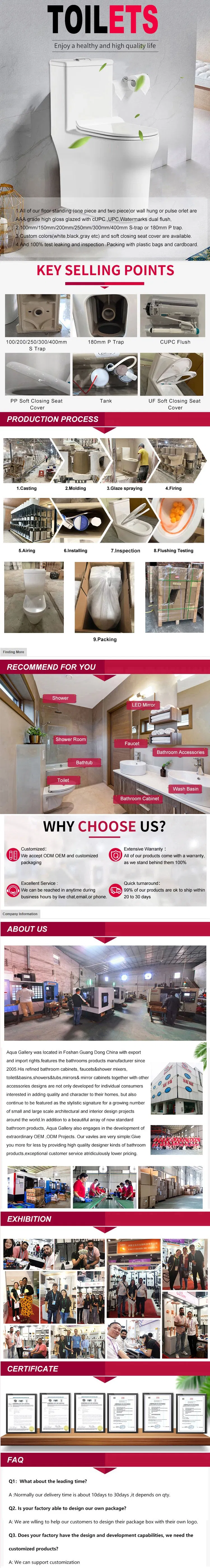 Toilets Detailed Features