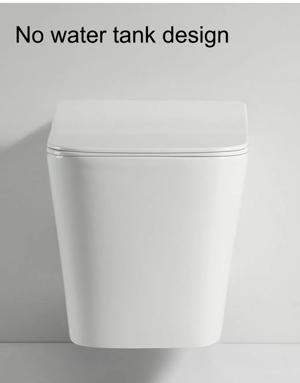 Wall Hung Toilet View 2