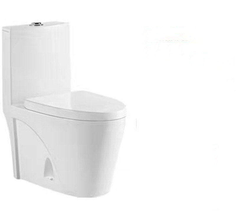 Manufacture Modern Standing Floor Two Smart Washdown Watermark One Piece Toilet Stool
