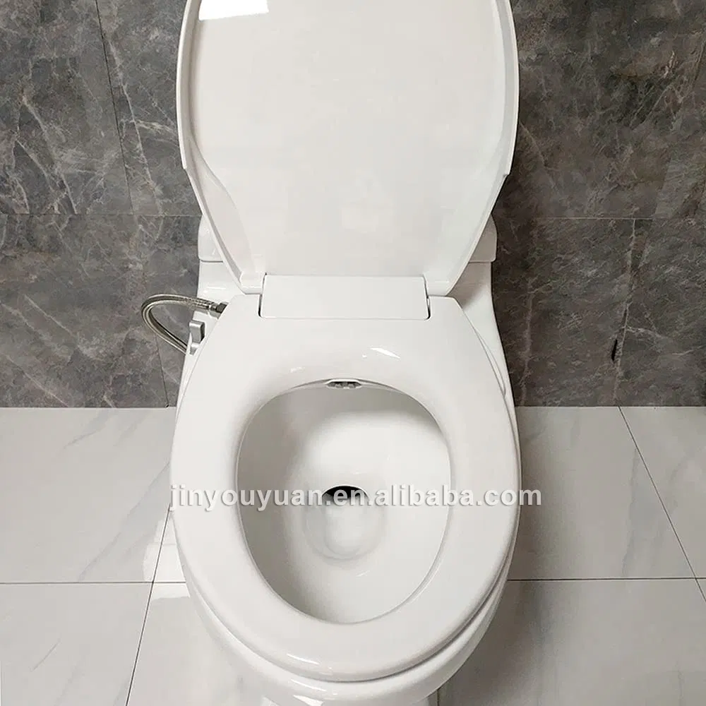Bidet Toilet Seat 5