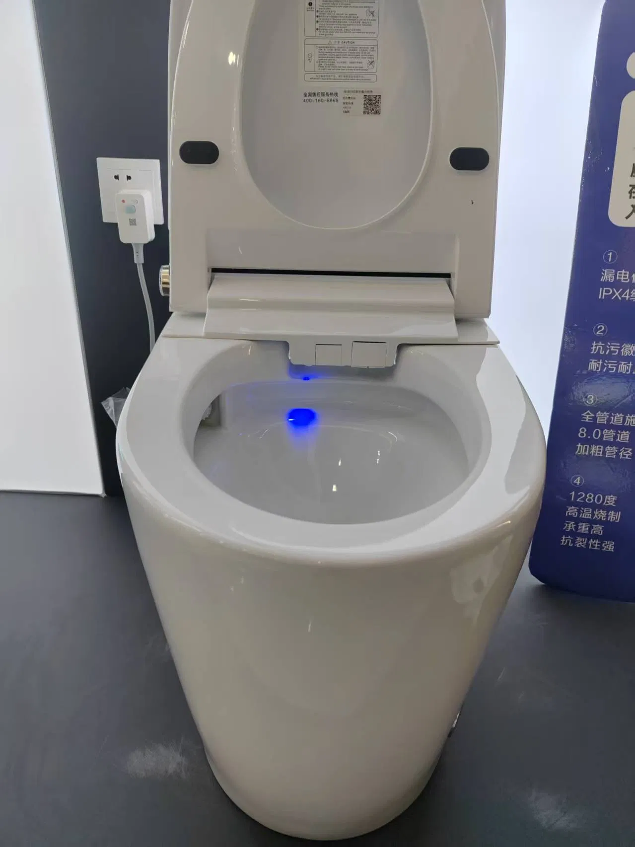 Auto Flushing Toilet