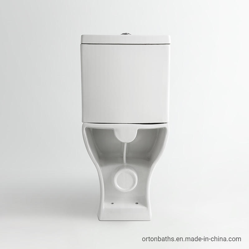 Africa Small Slim Tank Bathroom Ceramic Sanitary Ware Two Piece Wc Close Coupled Water Closet Toilet with Bidet Bowl Seat Cover