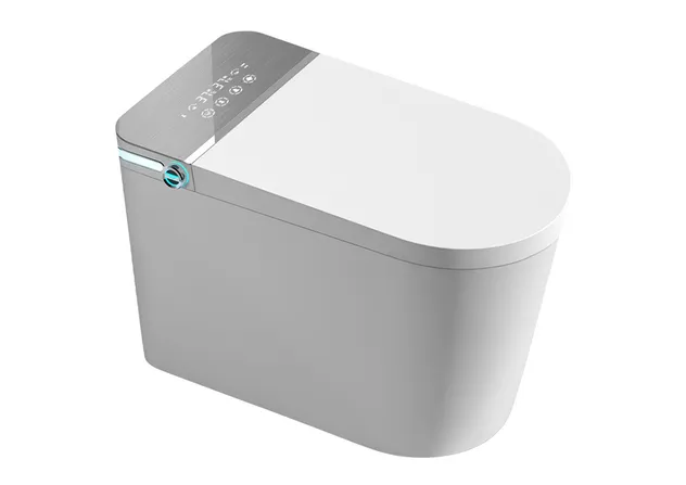 Smart Toilet Feature 3