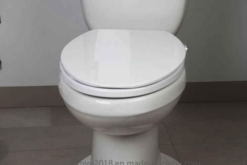 Bidet Toilet Seat View 10