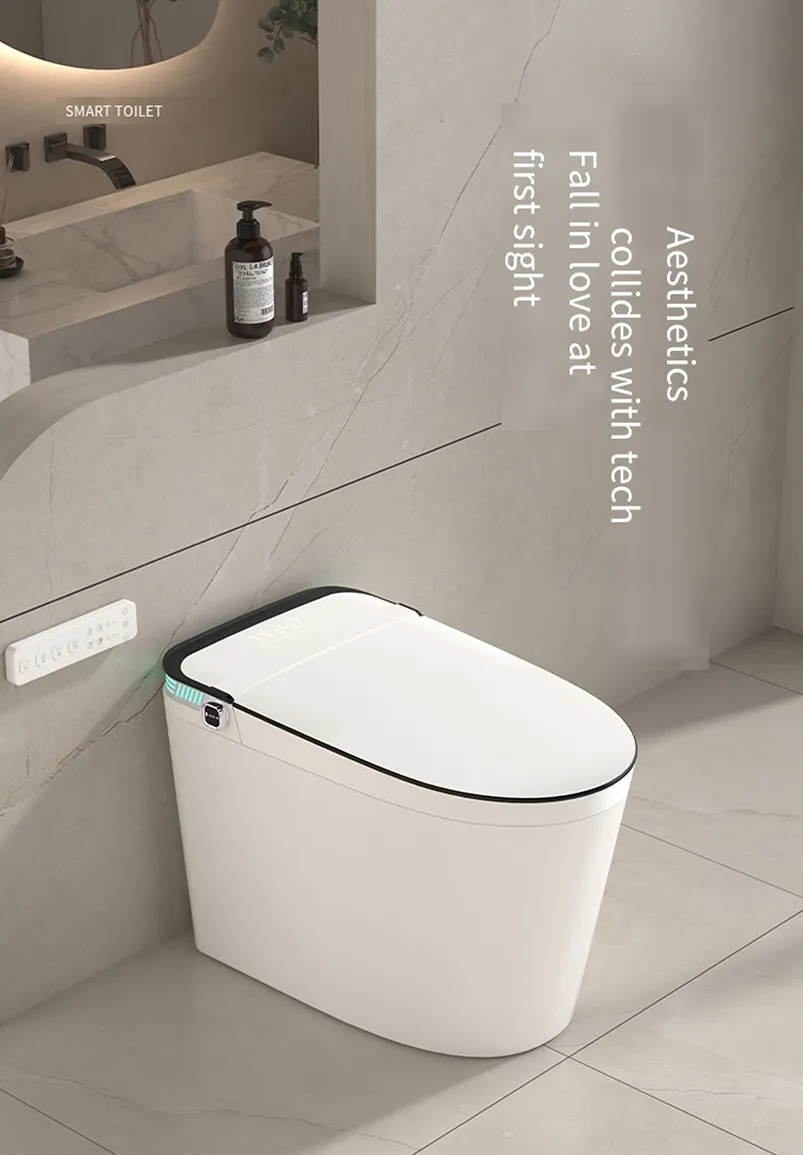 Smart Toilet Detail 4