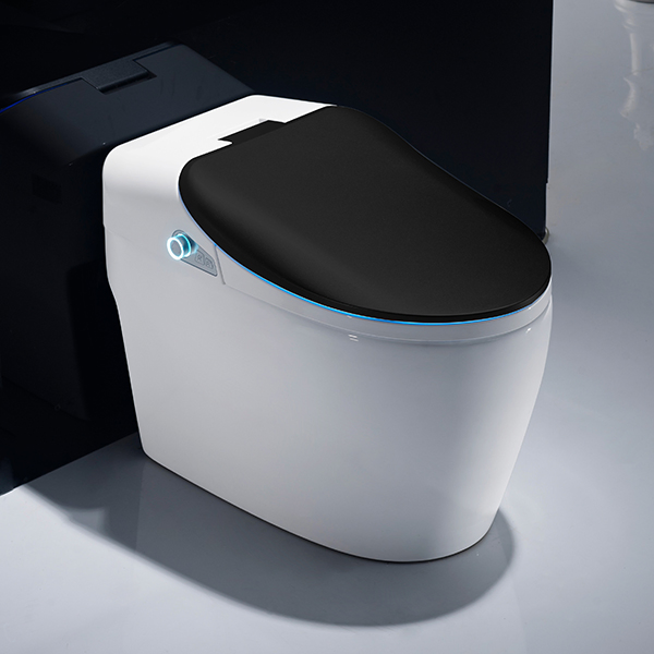 Wholesale Freestanding Tankless Bathroom Intelligent Smart Toilet with Heated Bidet Night Light Warm Air Drying for High-End Apartment