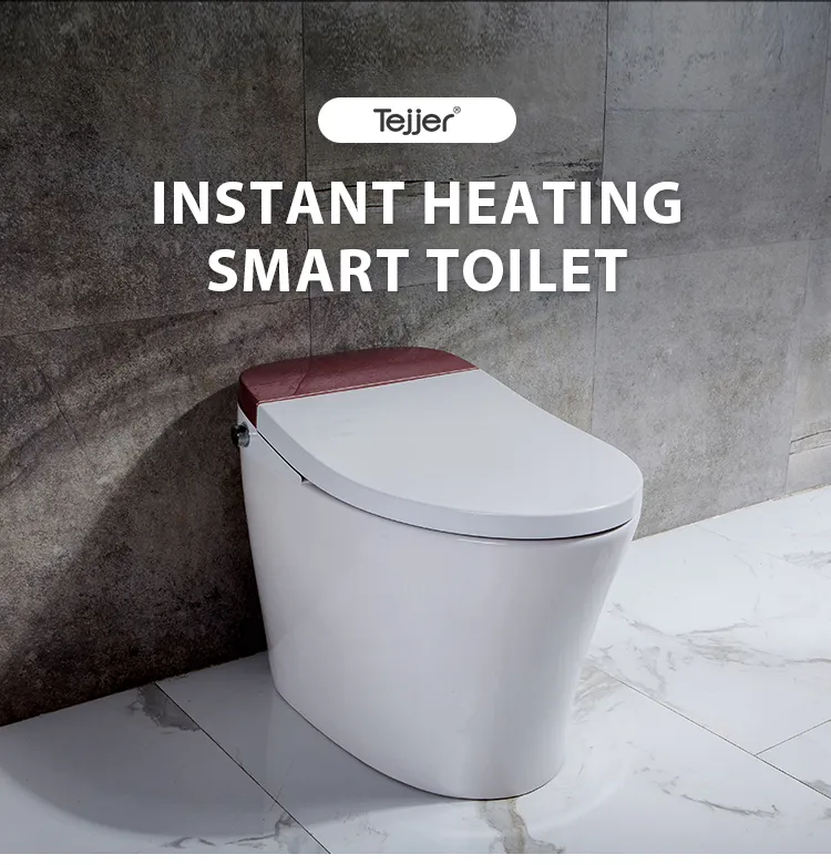 Smart Toilet View