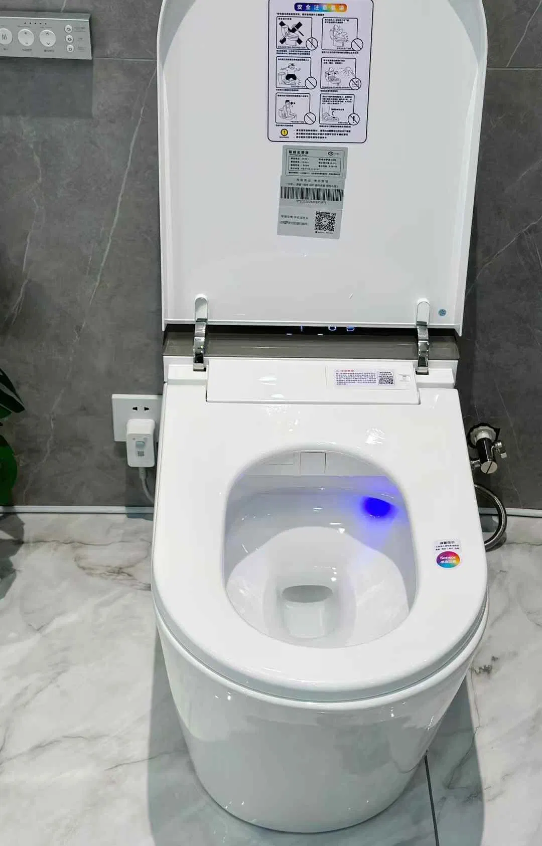 North American and European Design Styles Large Bowl Panel Switch and Floor Standing Smart Toilets