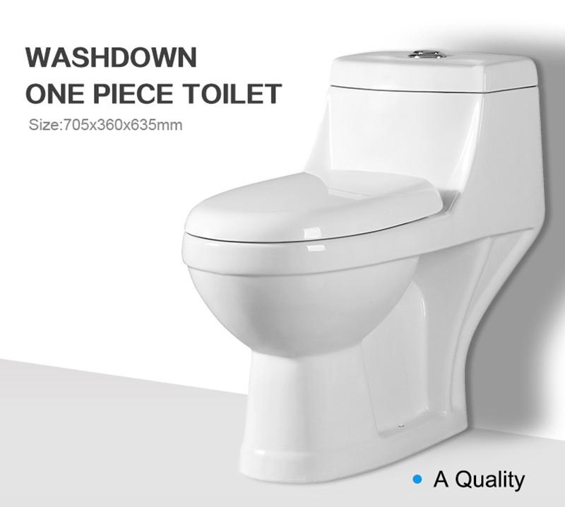 Siphon Flushing Standing Floor Washdown Watermark Wall Hung Smart Toilet Closestool ODM