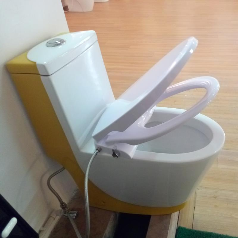 Bathroom Product Non Electric Unique Bidet Toilet Seat CB3601