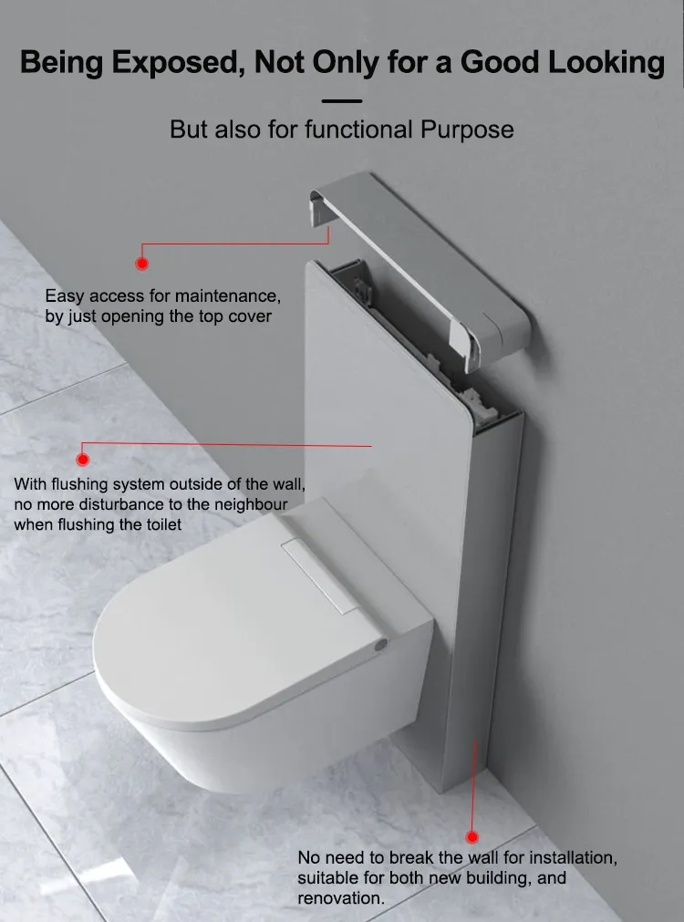Dual Flush Cistern Mechanism