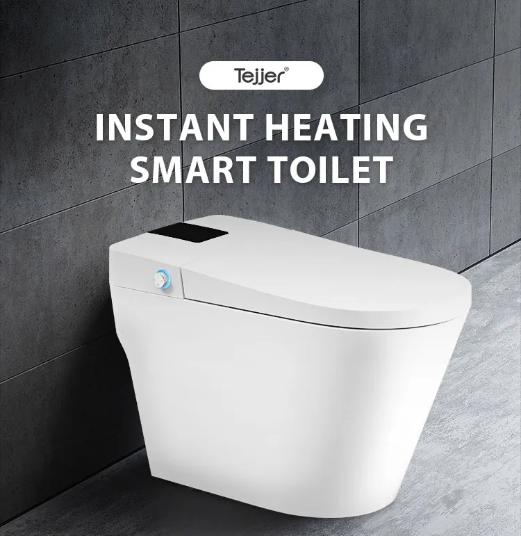 Smart Bidet Toilet Main View