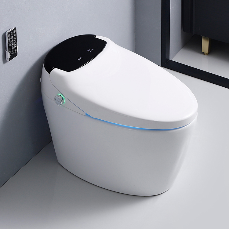 Tankless Intelligent Bathroom Health Smart Toilet with Warm Air Drying Female Washing Automatic Cleaning for Condo and Villa
