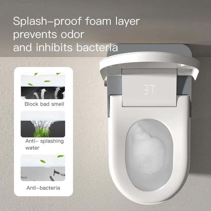 Smart Toilet View 12