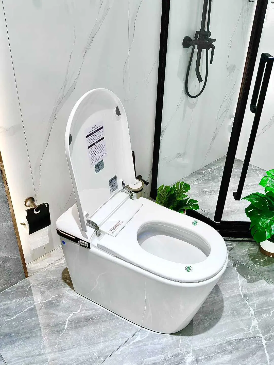 European CE, Watermark Upc Smart Toilets White Finish Floor Standing Smart Toilets