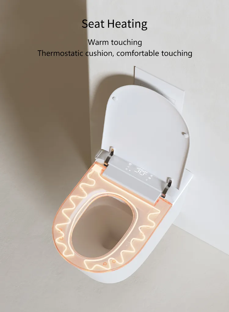 Smart Toilet Feature 7