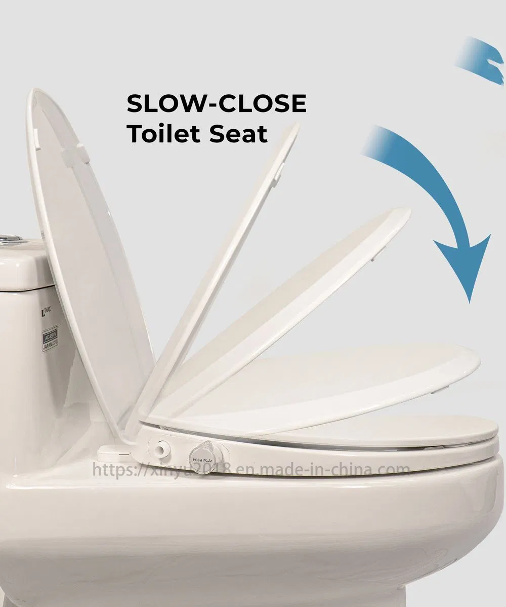 Bidet Toilet Seat