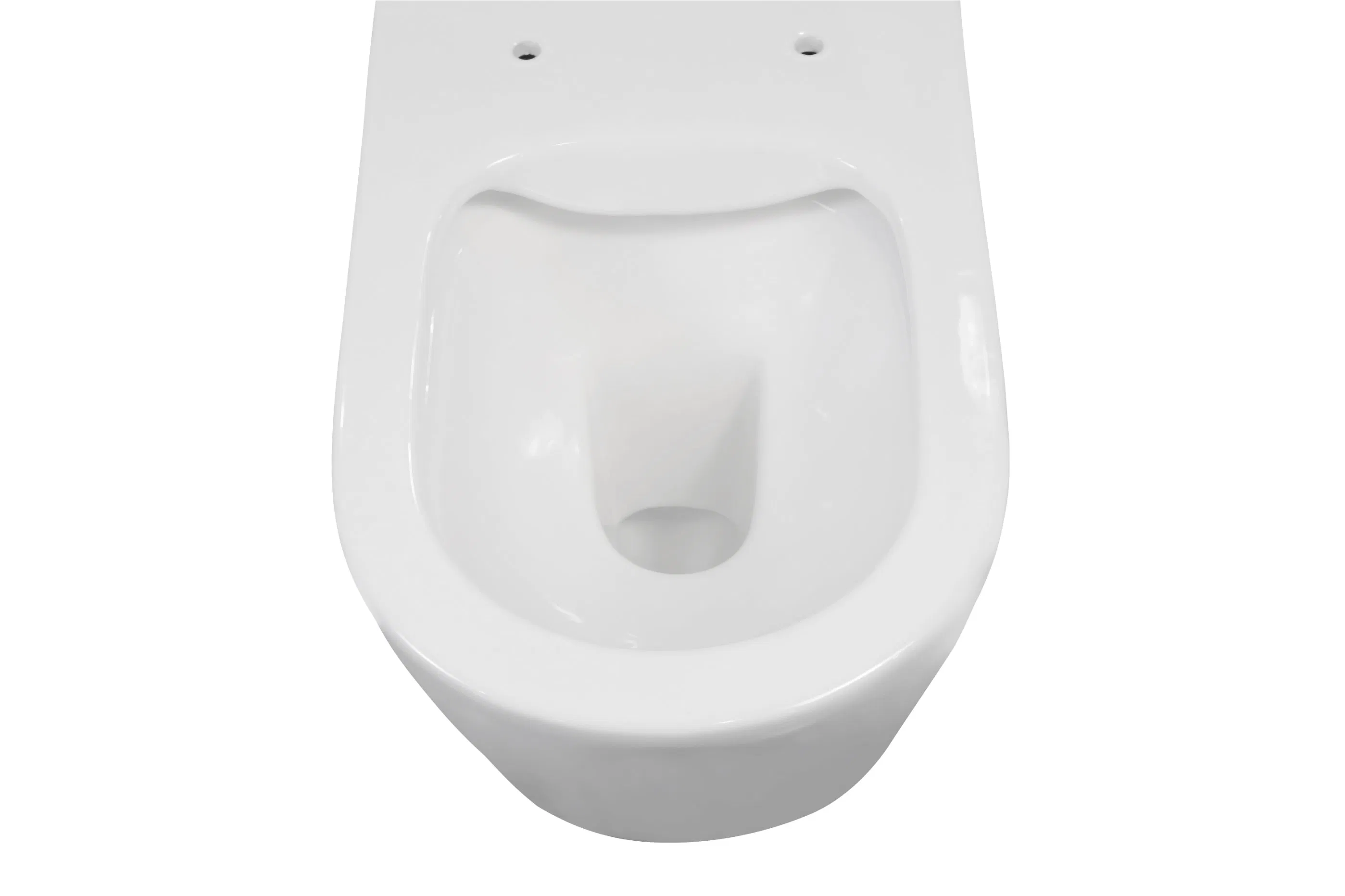 Flushing Washdown Wall Hung Toilet with Concealed Cistern