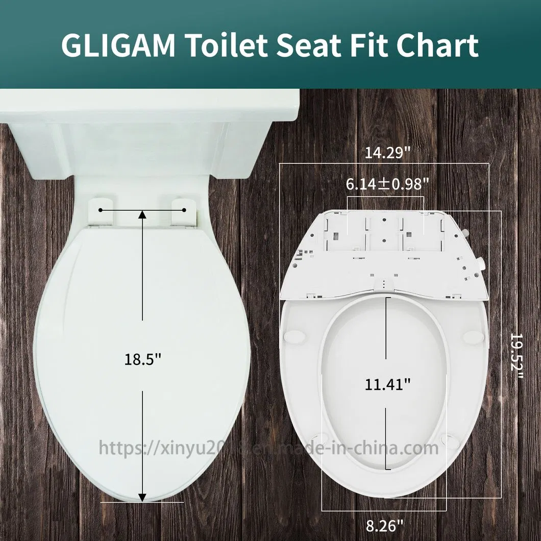 Bidet Toilet Seat 3