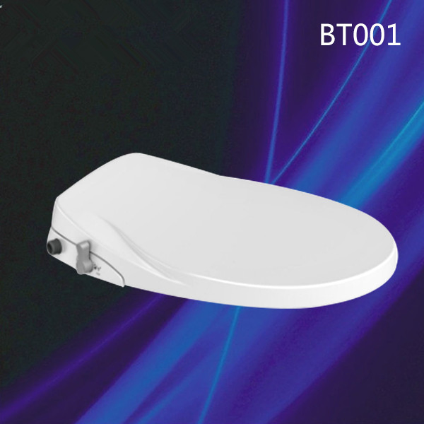 Factory Price Non Electric Toilet Seat Bidet Cover PP Material with Nozzles Combined Toilet and Bidet for Home
