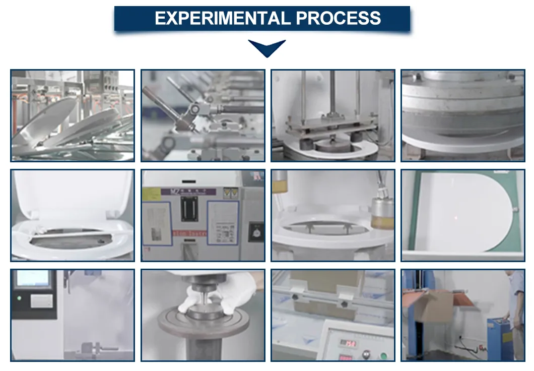Quality Control Workflow
