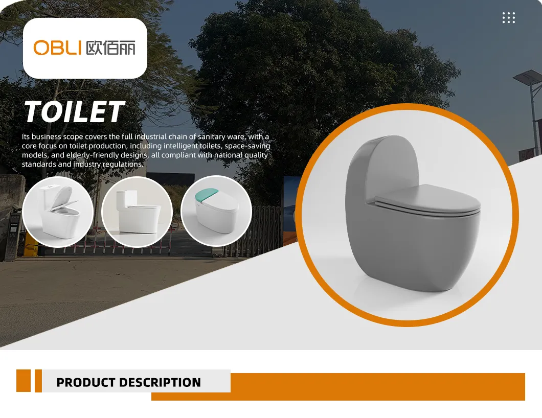 Tankless Luxury Smart Ceramic Toilet