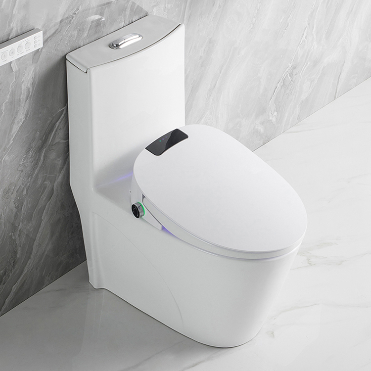 New Modern Bathroom Electric Bidet Intelligent Smart Toilet Seat with Remote